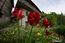 image07